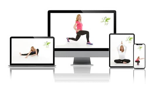 SOH Mobile - Desktop - Tablet - iPad - Laptop School of Happiness on, mobile, desktop, tablet, iPad and Laptop